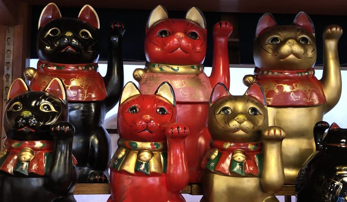 Фото взято из Google