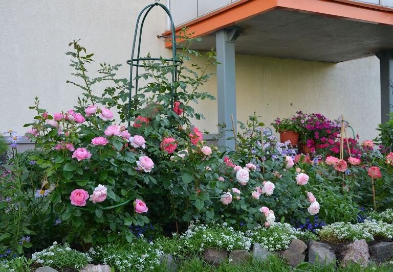 Фото Ольги Протасовой