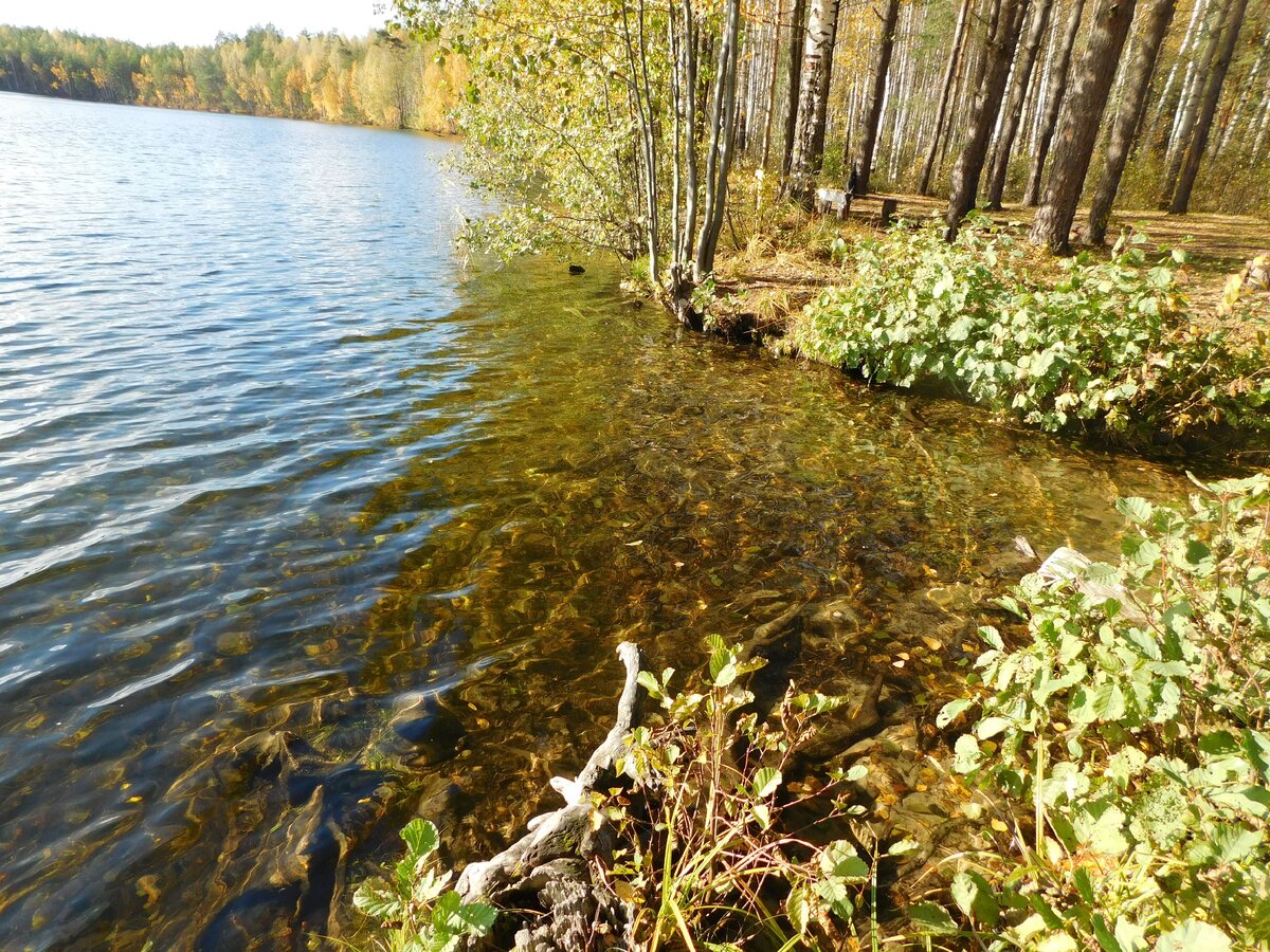 Озеро оланга фото Красивое озеро Оланга. 600 км от Москвы. И ни одного человека! Мужчины в стране 