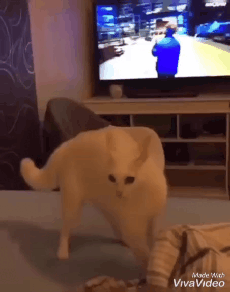 Я тут  главный хищник!!!