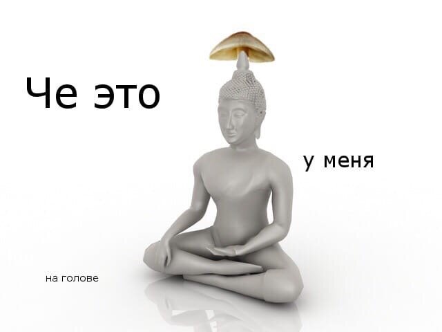 Ленин был буддистом, и это не обсуждается