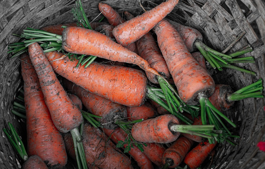 картинка с https://pixabay.com 