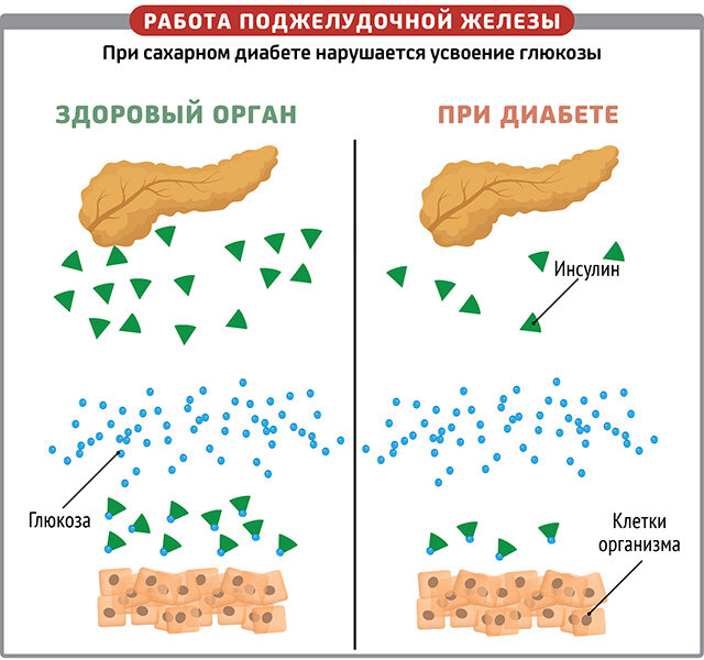 Источник: https://oyla.xyz