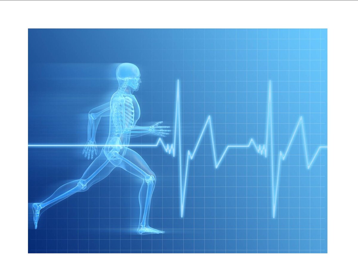 Human performance. Изображение. Human body. Abstract Wallpaper. 1 2 3 Pulses Exercize.