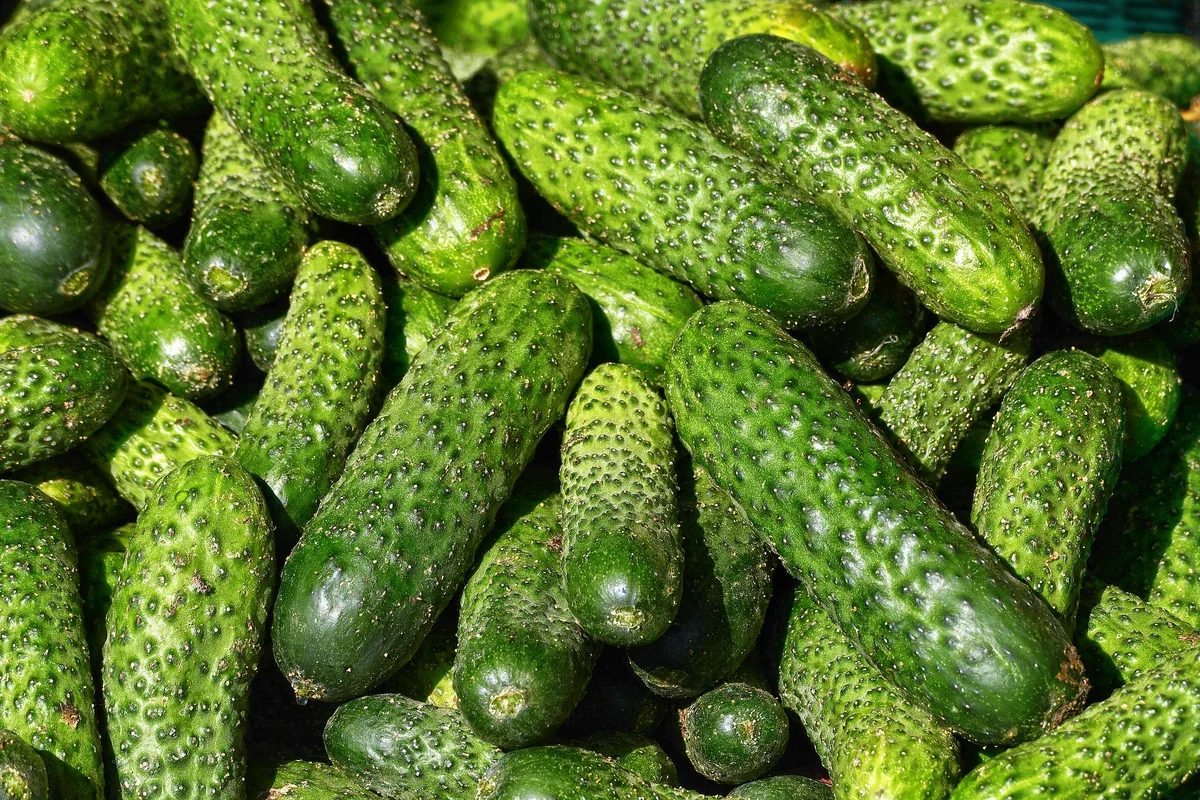Огурцы.