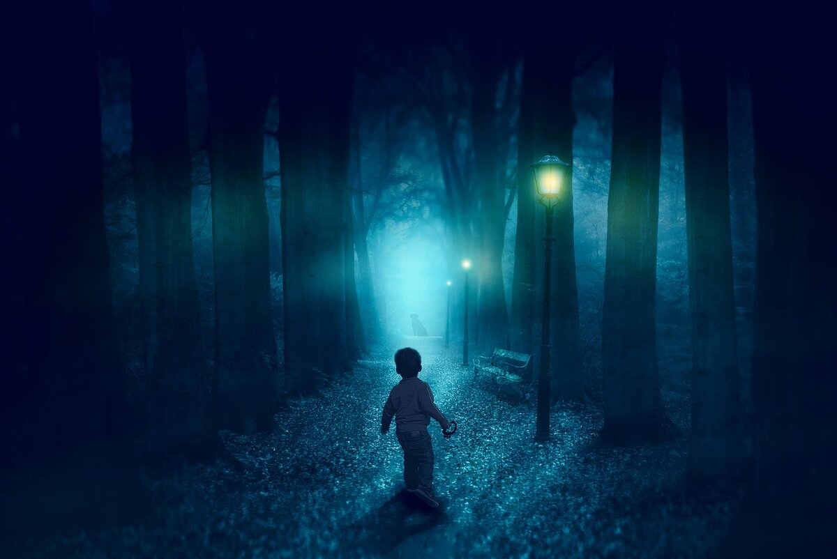Источник: https://pixabay.com