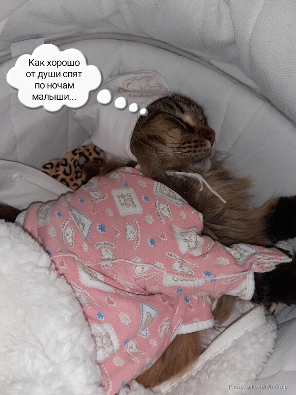 Первый образ