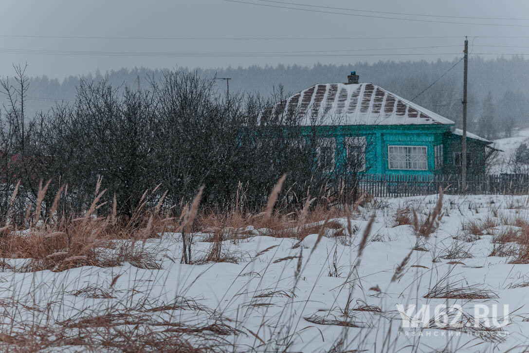 Затерянная Рязань. Король-Олень | Рязанский портал ya62.ru | Дзен