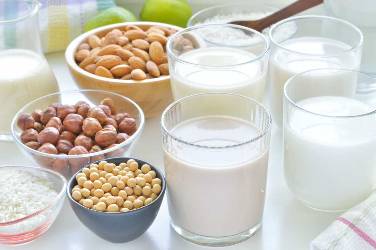 Какая молочная. Молоко. Молочные продукты. Растительные молочные продукты. Молочно растительная пища