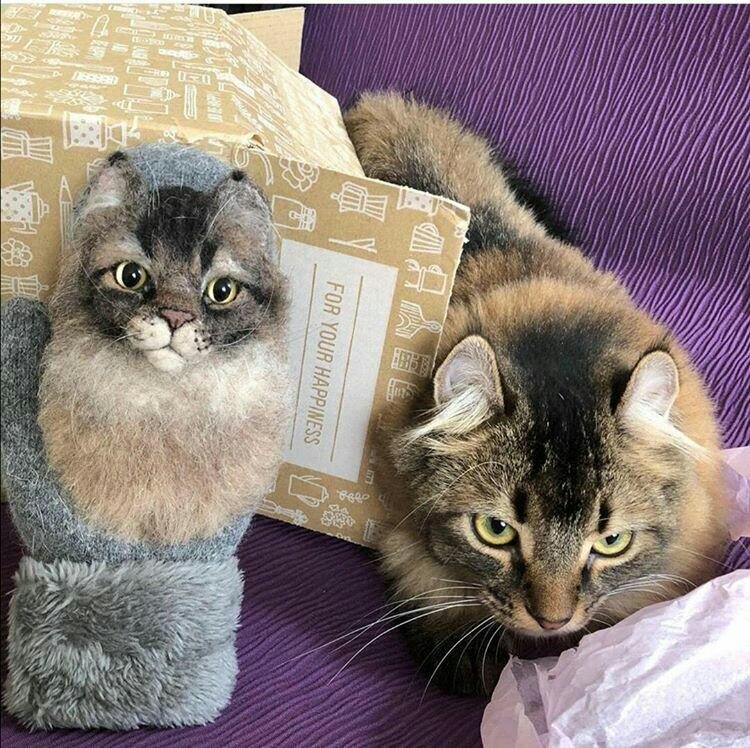 Посмотрите, прям точная копия домашнего любимца.