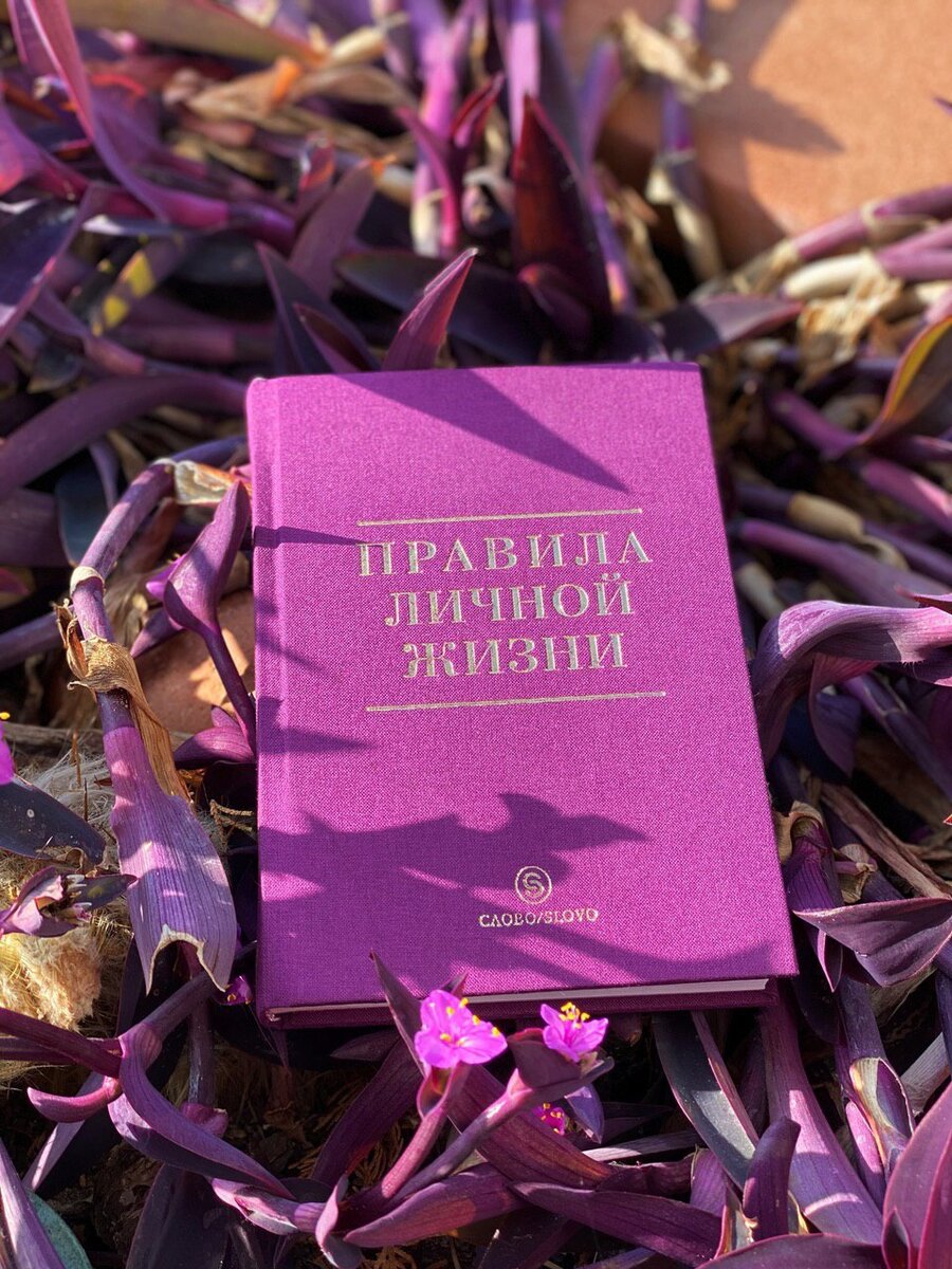 Правила личной жизни книга