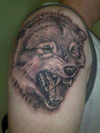 Тату волк