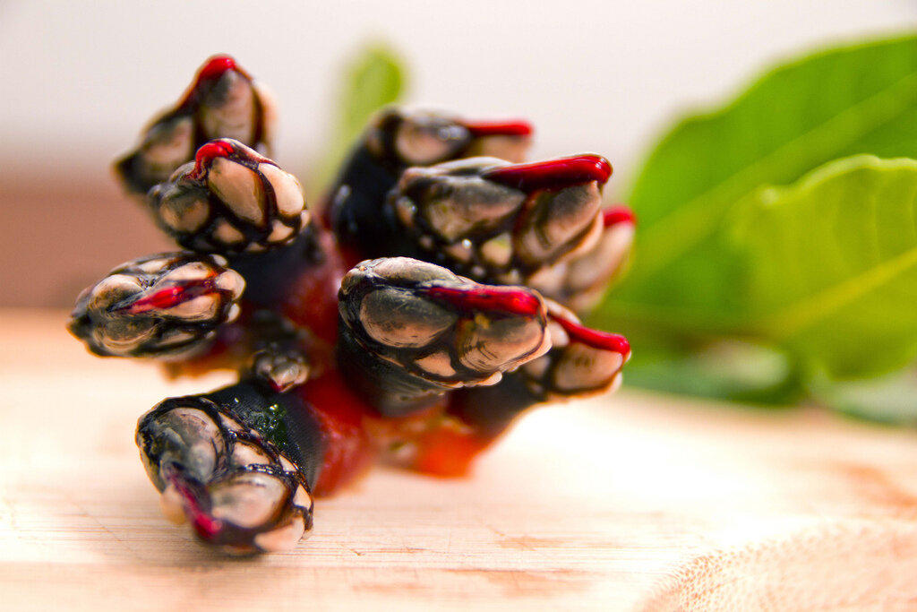 фото из открытого источника