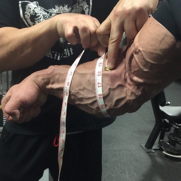 Невероятные мышцы рук от доктора наук Джима Стоппани. Программа специализации на 6 недель. Применять с умом. 