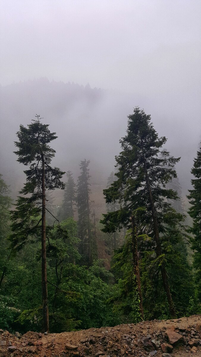 Фото из личного архива 