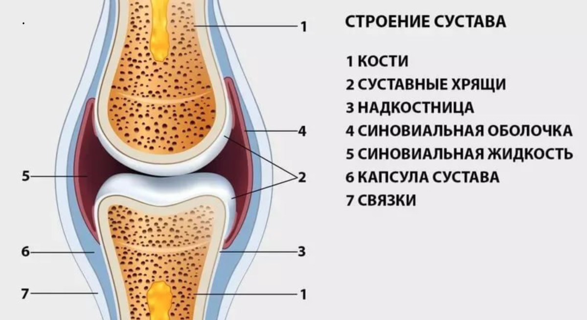 Хрустят суставы у ребенка, консультация ортопеда — Дети