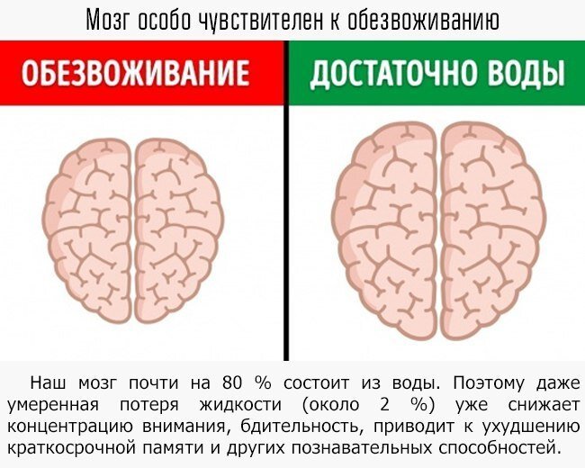 Какие меры можно предпринять, чтобы минимизировать негативные последствия 