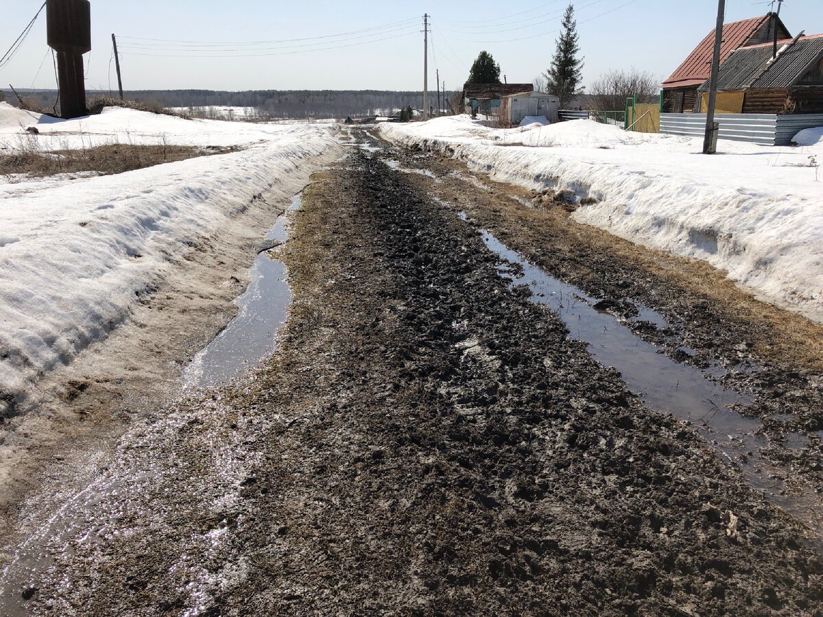 Наша дорога. Фото автора