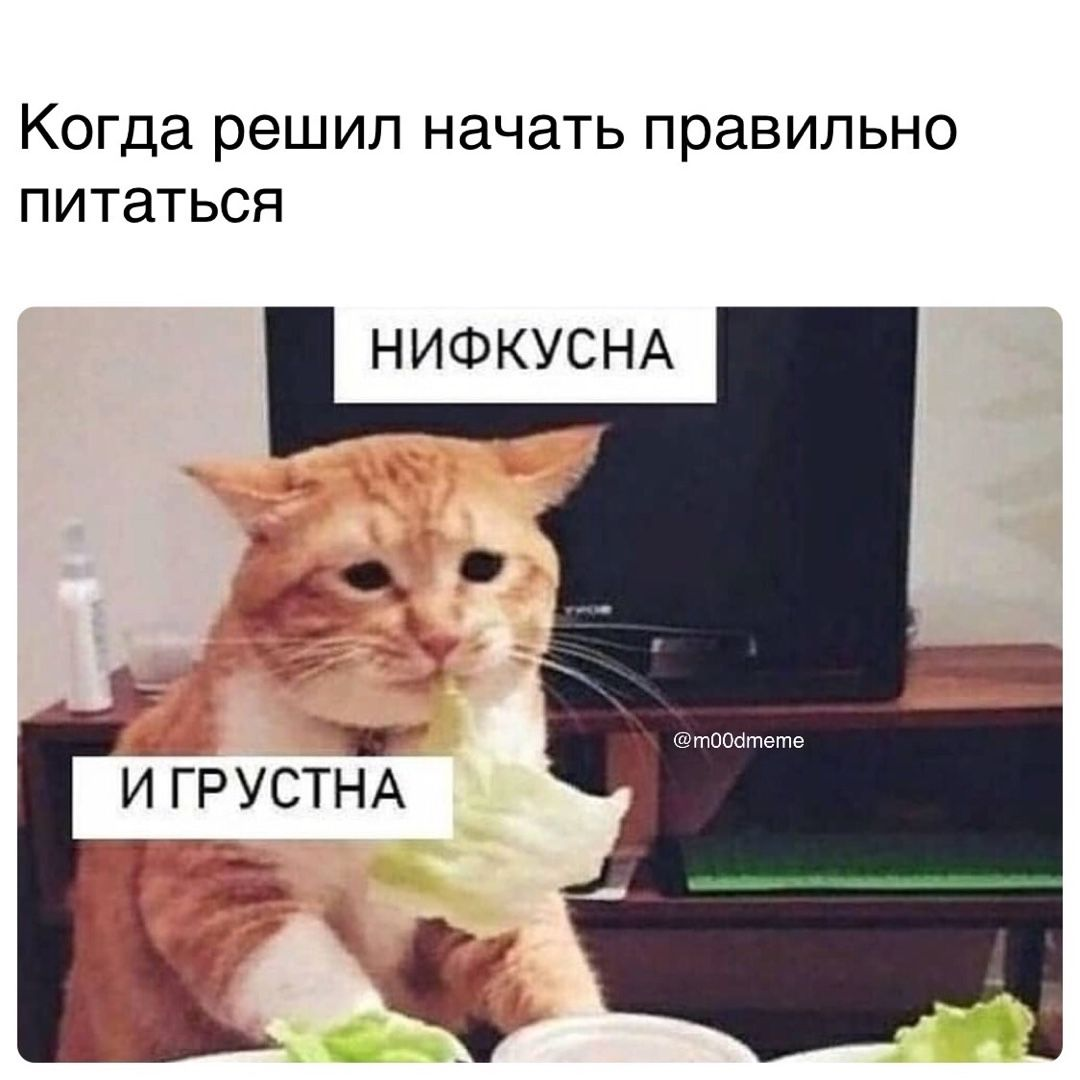 Жиза :(