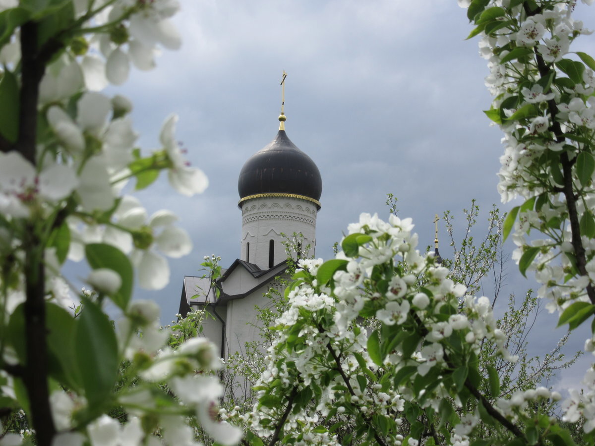 Храм и цветы