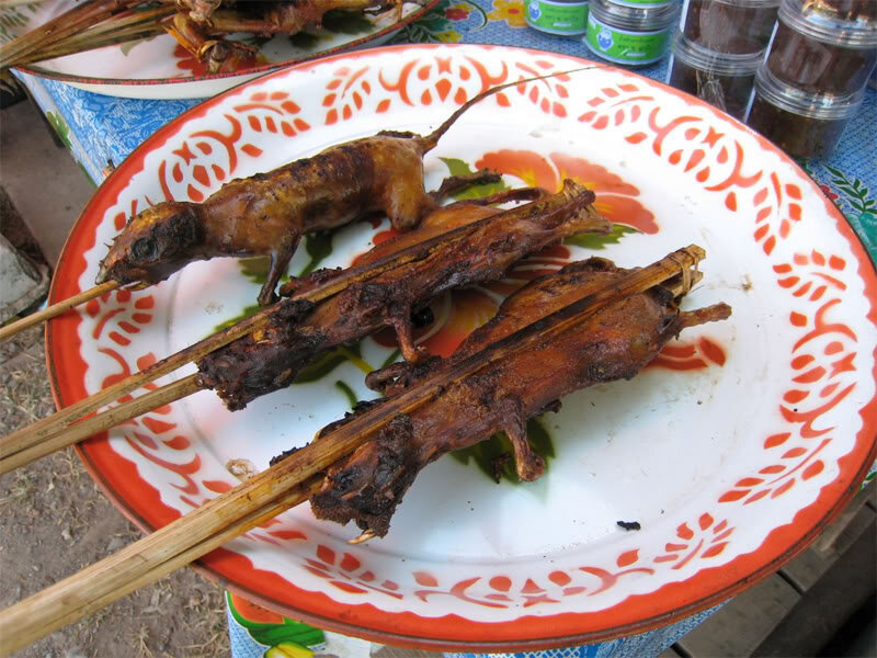 Фото взято из открытых источников.