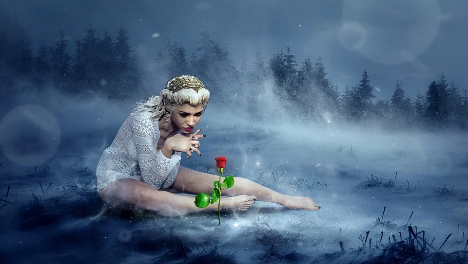 https://pixabay.com/illustrations/fantasy-winter-rose-girl-snow-sit-3361332/