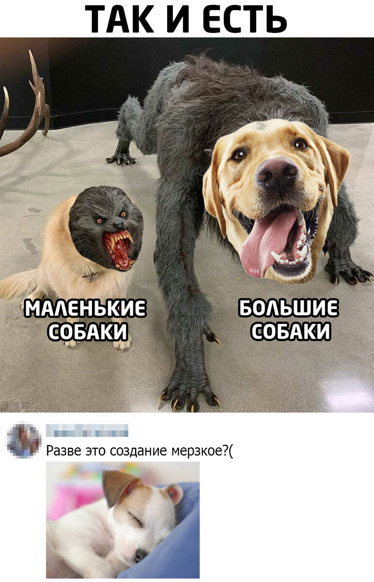 Картинка взята с сервиса Яндекс.картинки 
