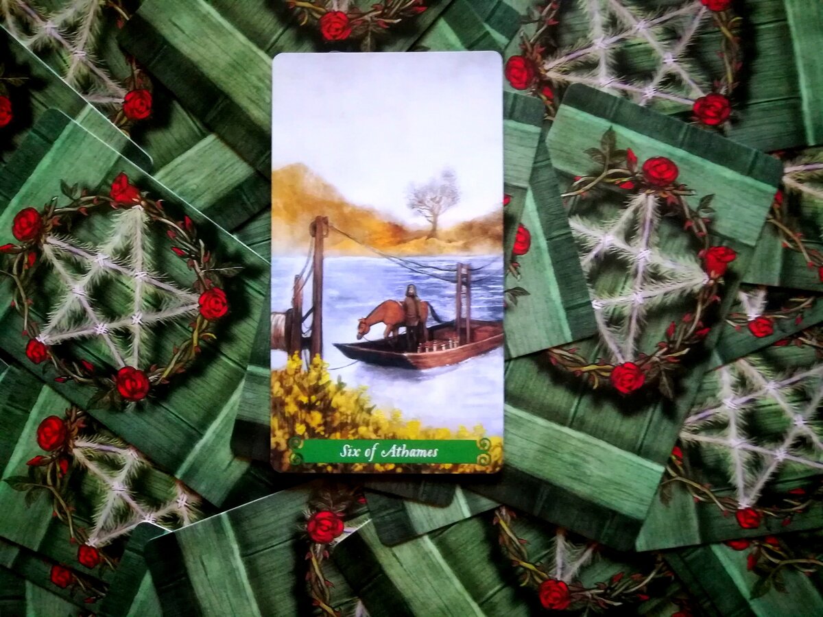 Что вас ждет в вопросах здоровья. Фото автора.