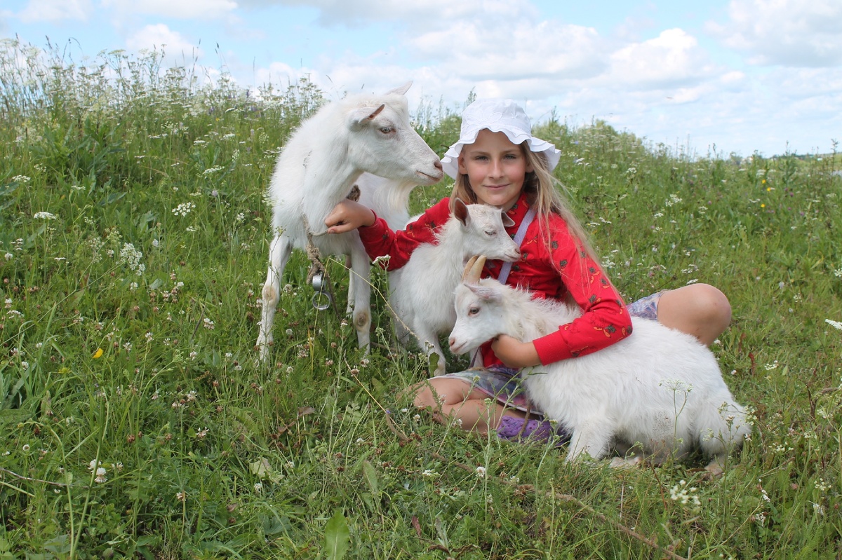 Фото использовано в качестве иллюстрации. Источник: "Яндекс картинки"