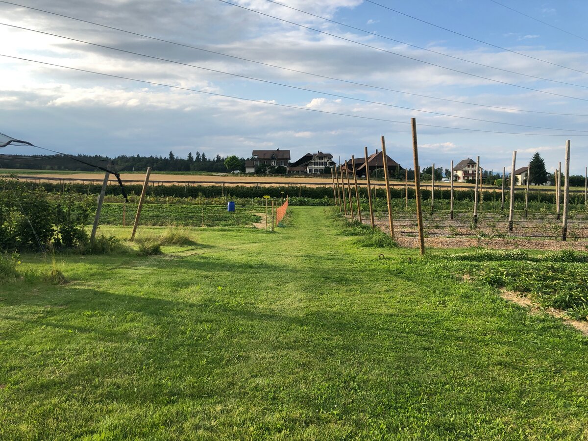 Фермерские просторы. Фотография из личного архива