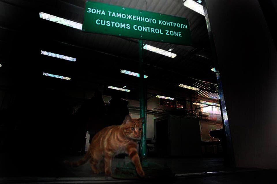 ЗТК под наблюдением