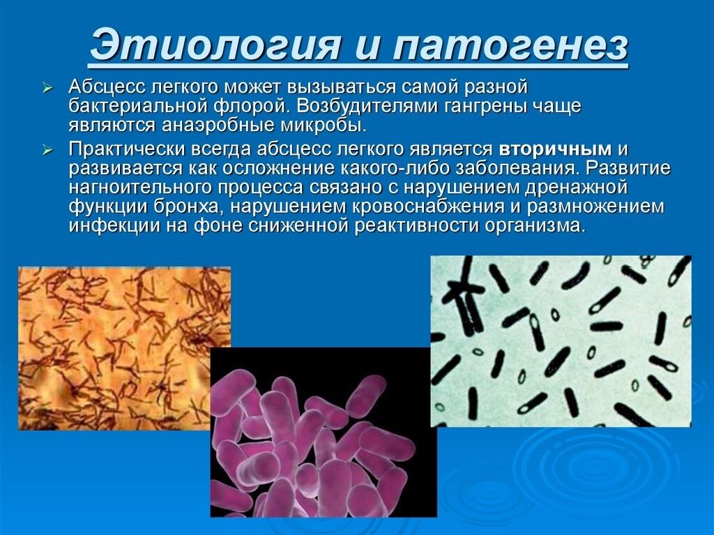 Пример студенческой презентации