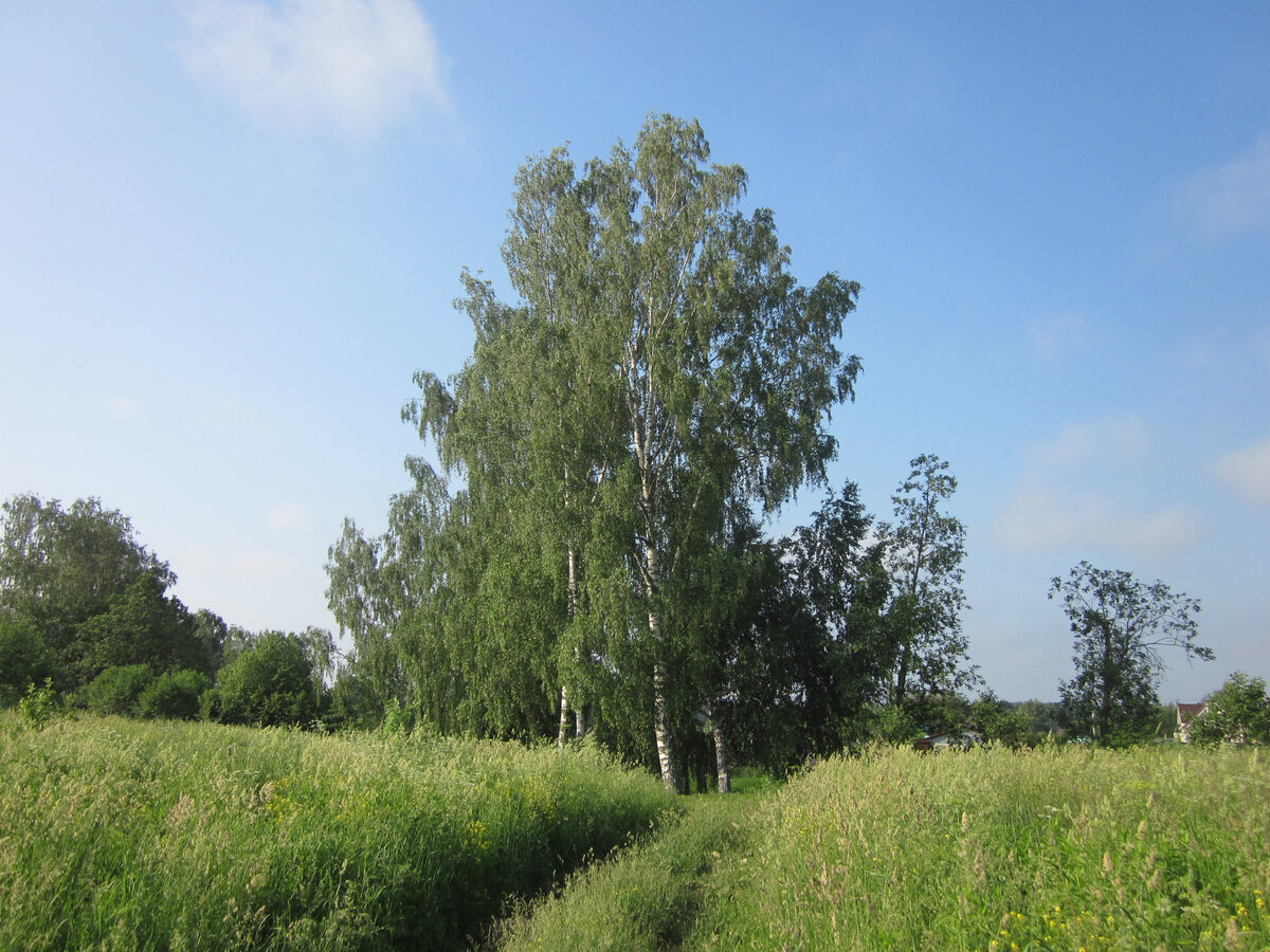 Лукино-Варино Подмосковье