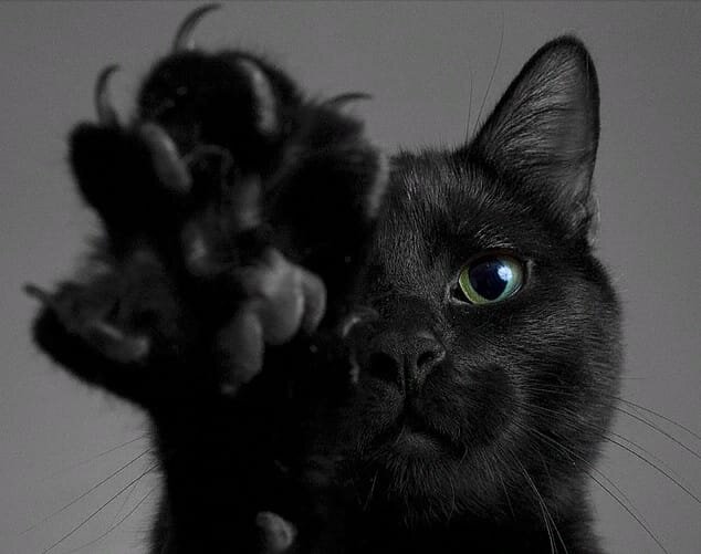 Фото взято из источников интернета 