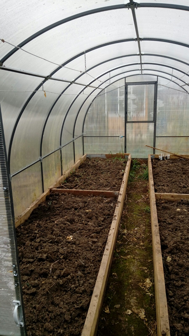 Наша новая теплица после убранного урожая.