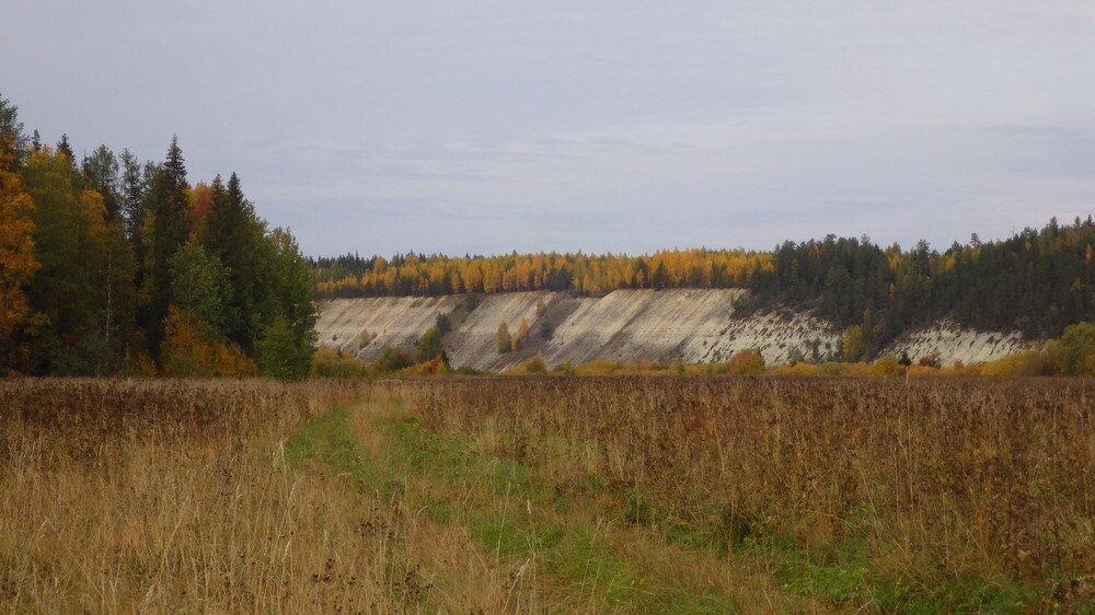 Березники. Березники, ул. Город березники девятая гимназия. Библиотеки города березники. Школа 3 березники.