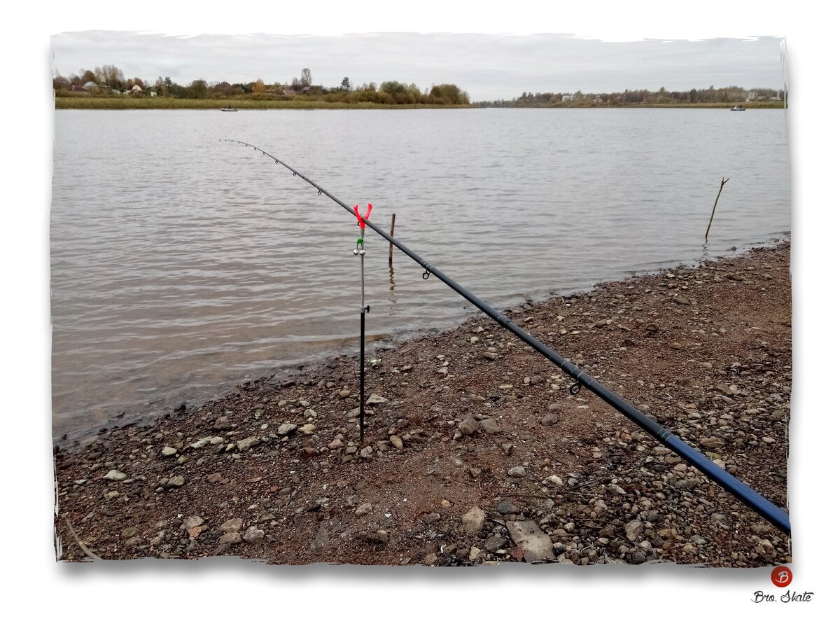 Берег реки волхов Авторское фото