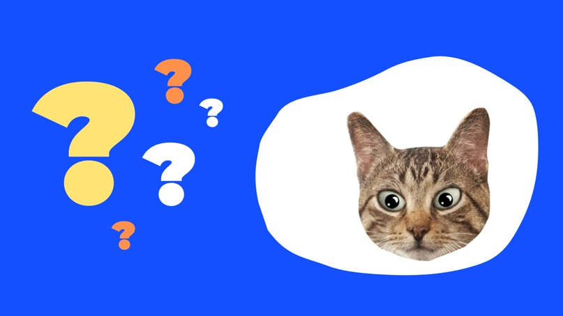 Источник:  https://vk.com/@yuseo