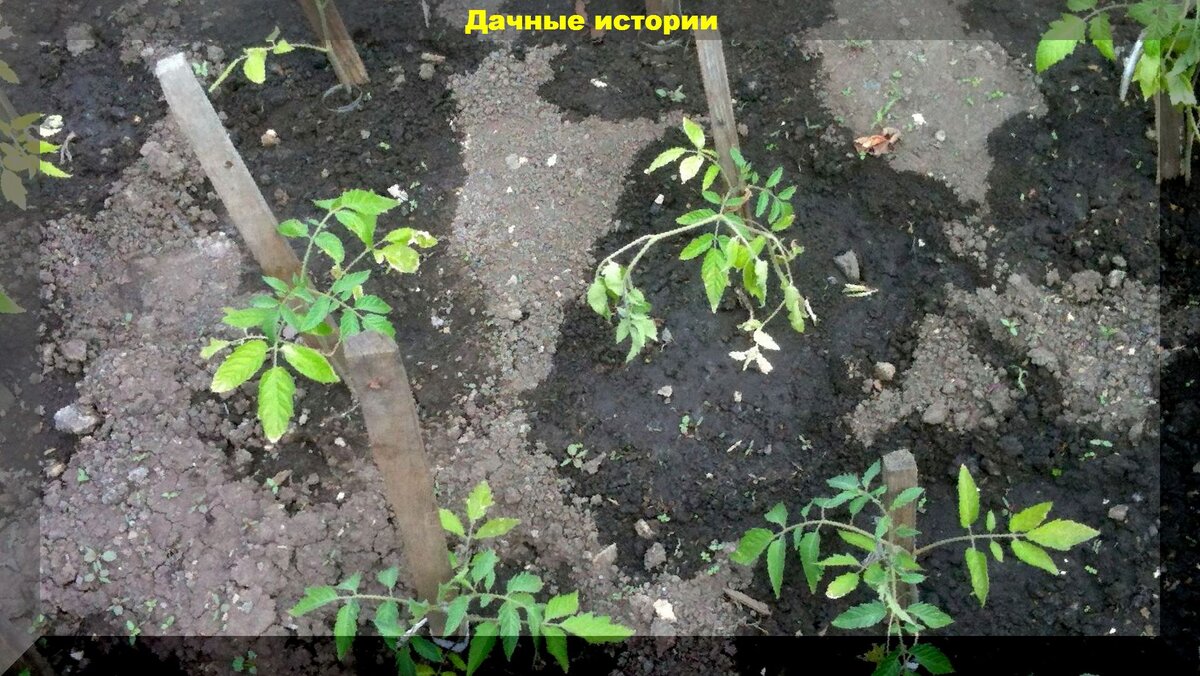 https://vk.com/photo-159774511_457247398