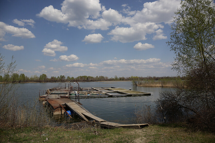 Фото: Ростислав Нетисов, nsknews.info