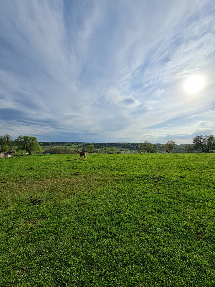 Слобода Германа Стерлигова. Фото автора.