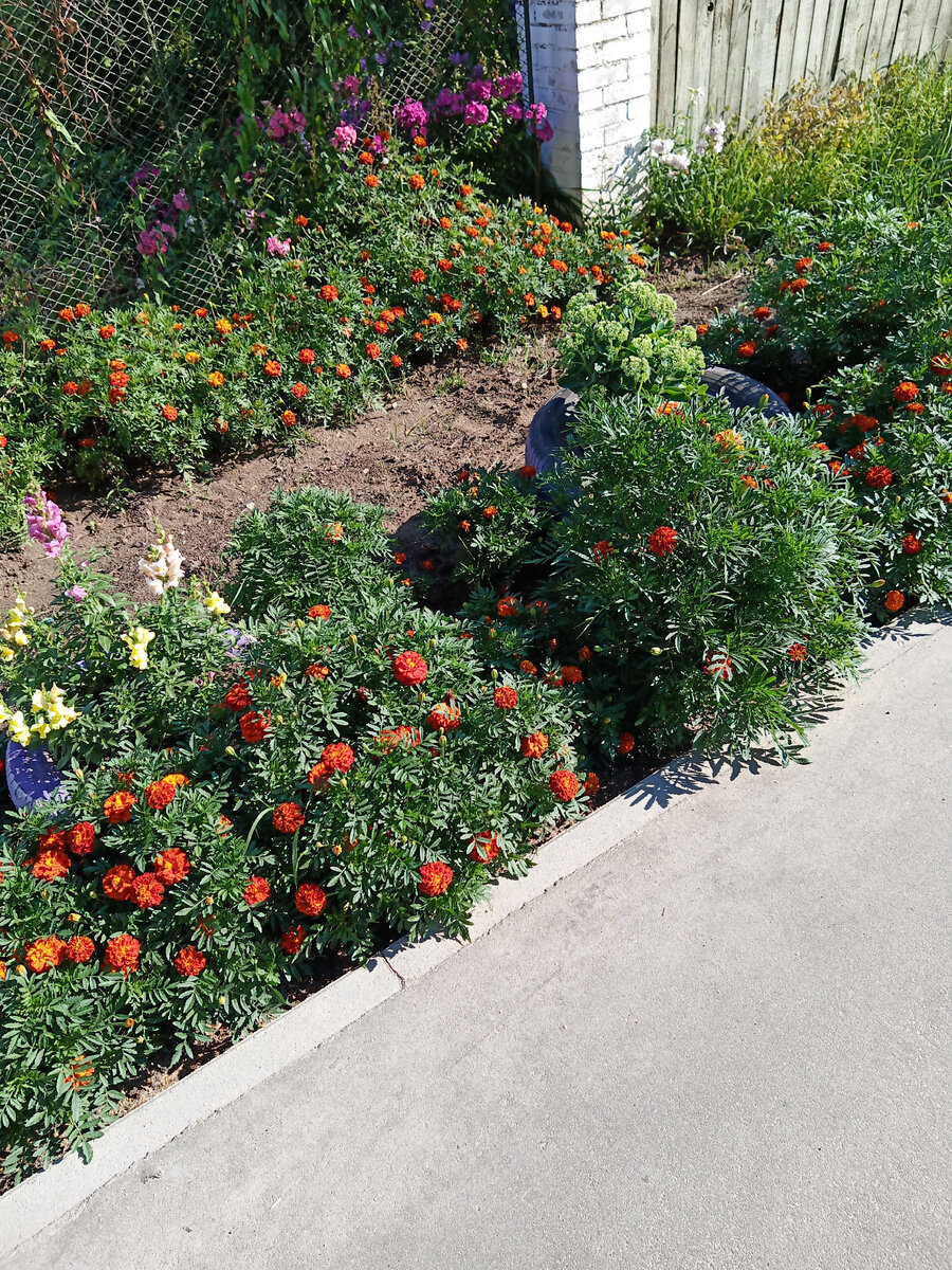 Моя дорога проходила через частный сектор