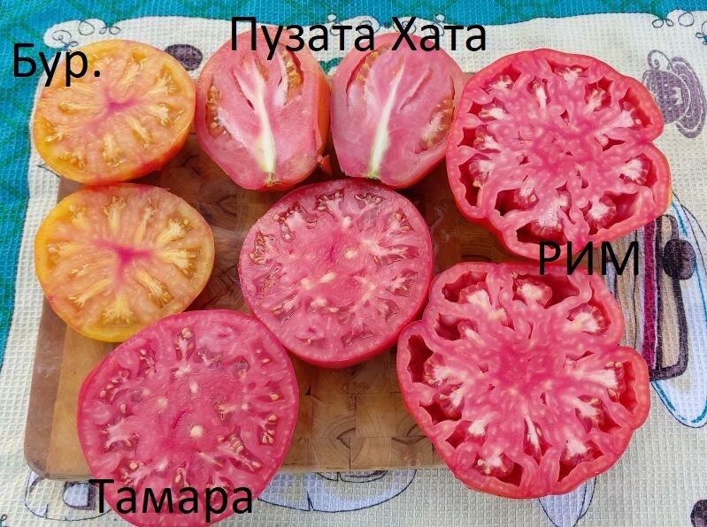 Томаты в разрезе