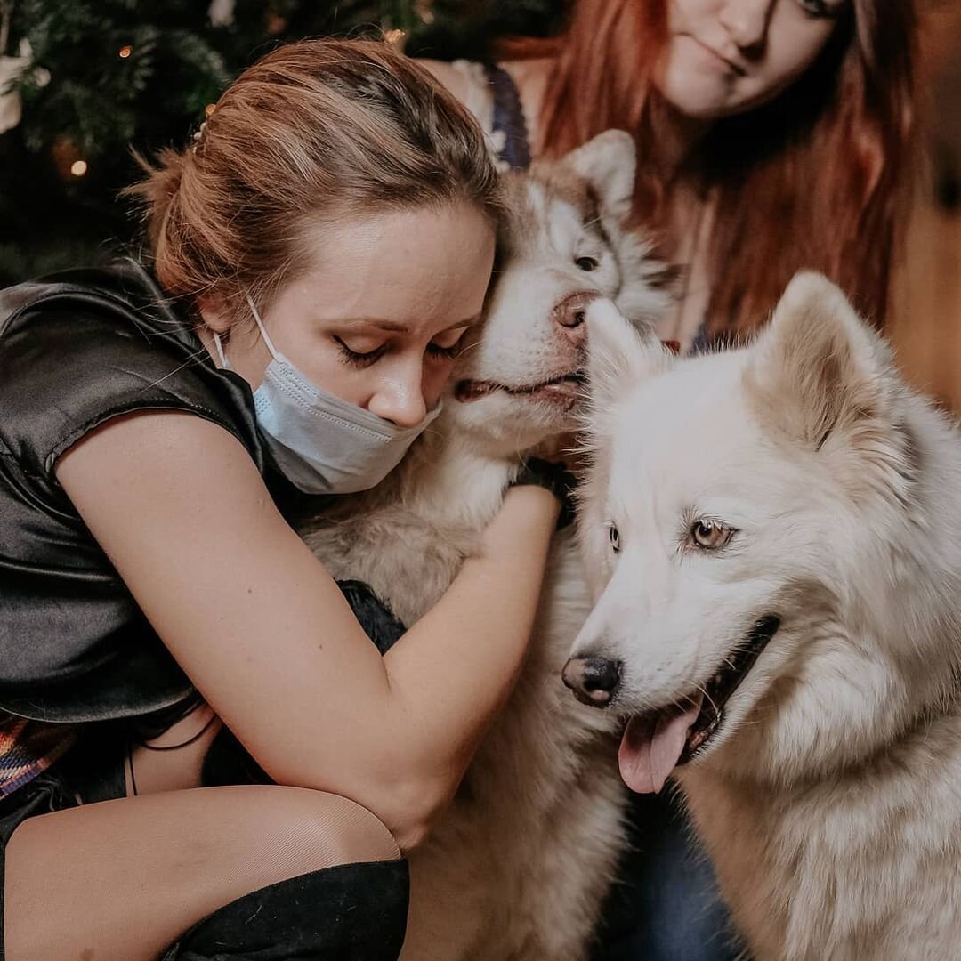 Чем я занимаюсь, я делаю не для собак и тем более не для себя. Я делаю это  для людей | Центр поддержки ездовых собак | Дзен