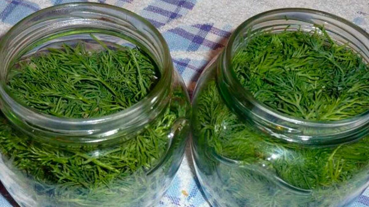 Добавьте описание