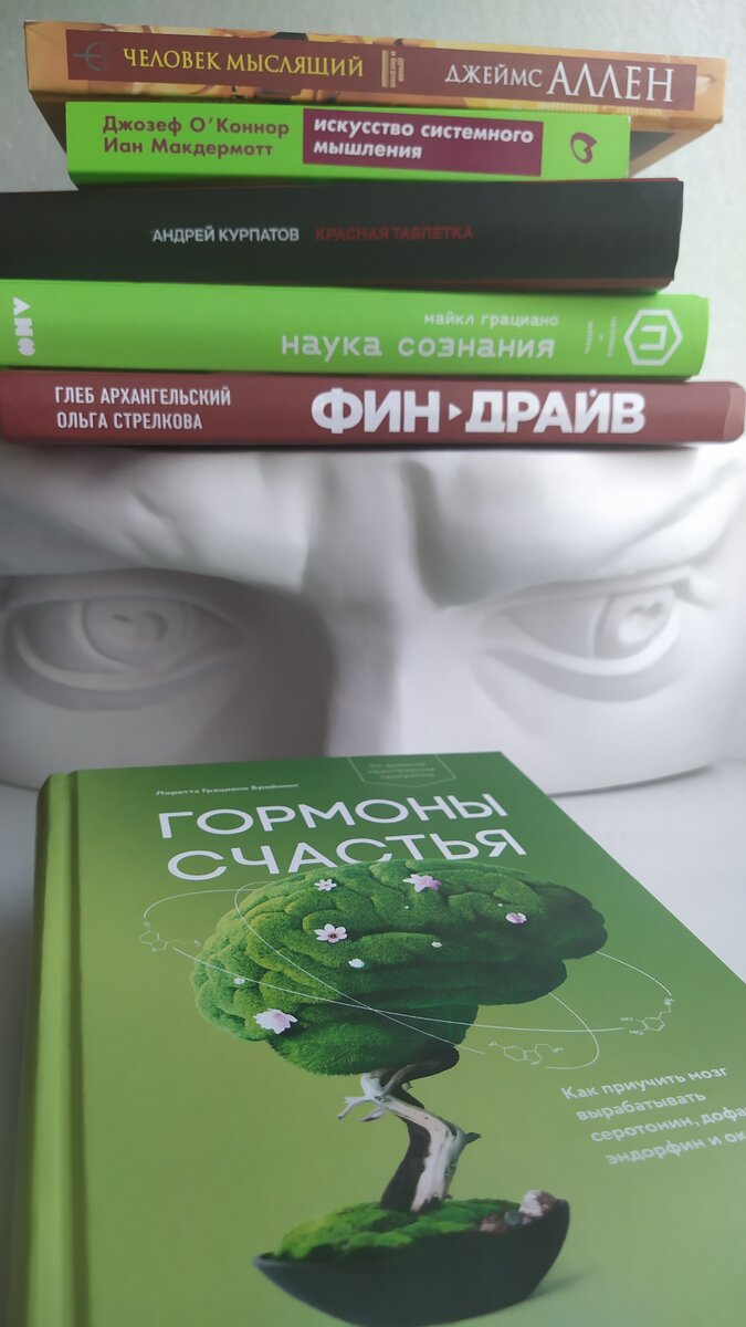 Это второй краткий обзор книги с фото, планирую написать по всем. Приятного прочтения, книголюб.