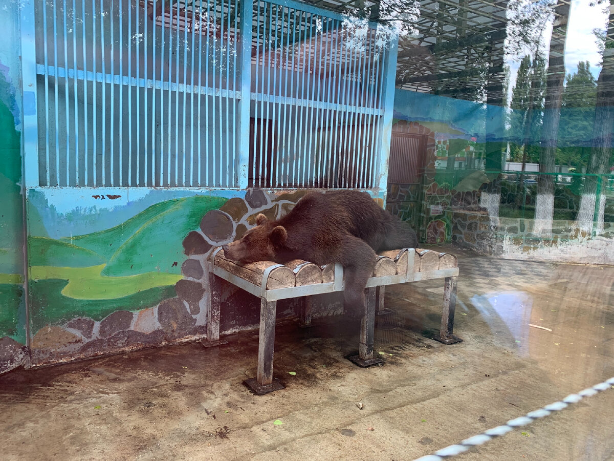 Всем хочется лежать и получать деньги, но это сказки.