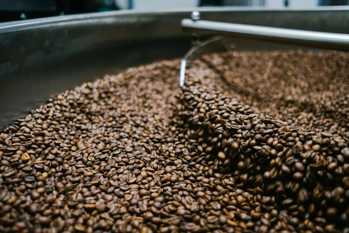 кофейная обработка. мытая обработка кофейных зерен. кофейная обработка. кофейная обработка. кофейная обработка.