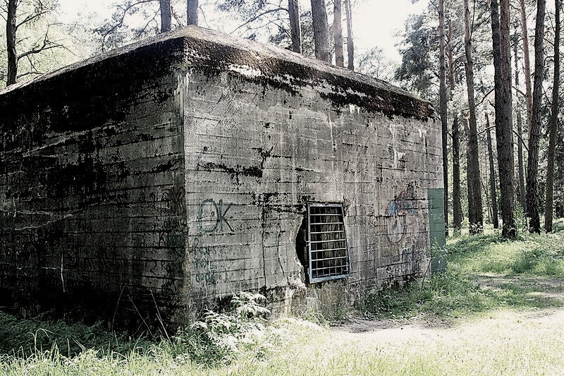 фото из открытого доступа