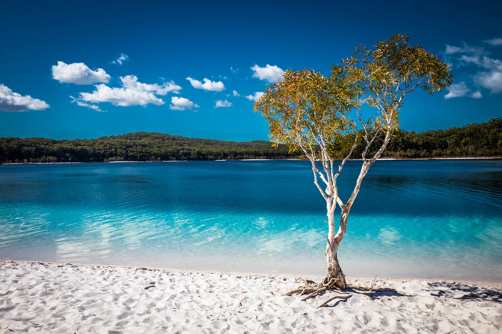 Озеро Маккензи Lake MCKENZIE